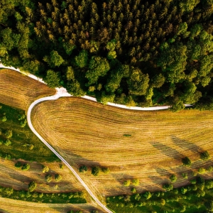 dji_fly_20230526_201836_30_1685125585835_photo